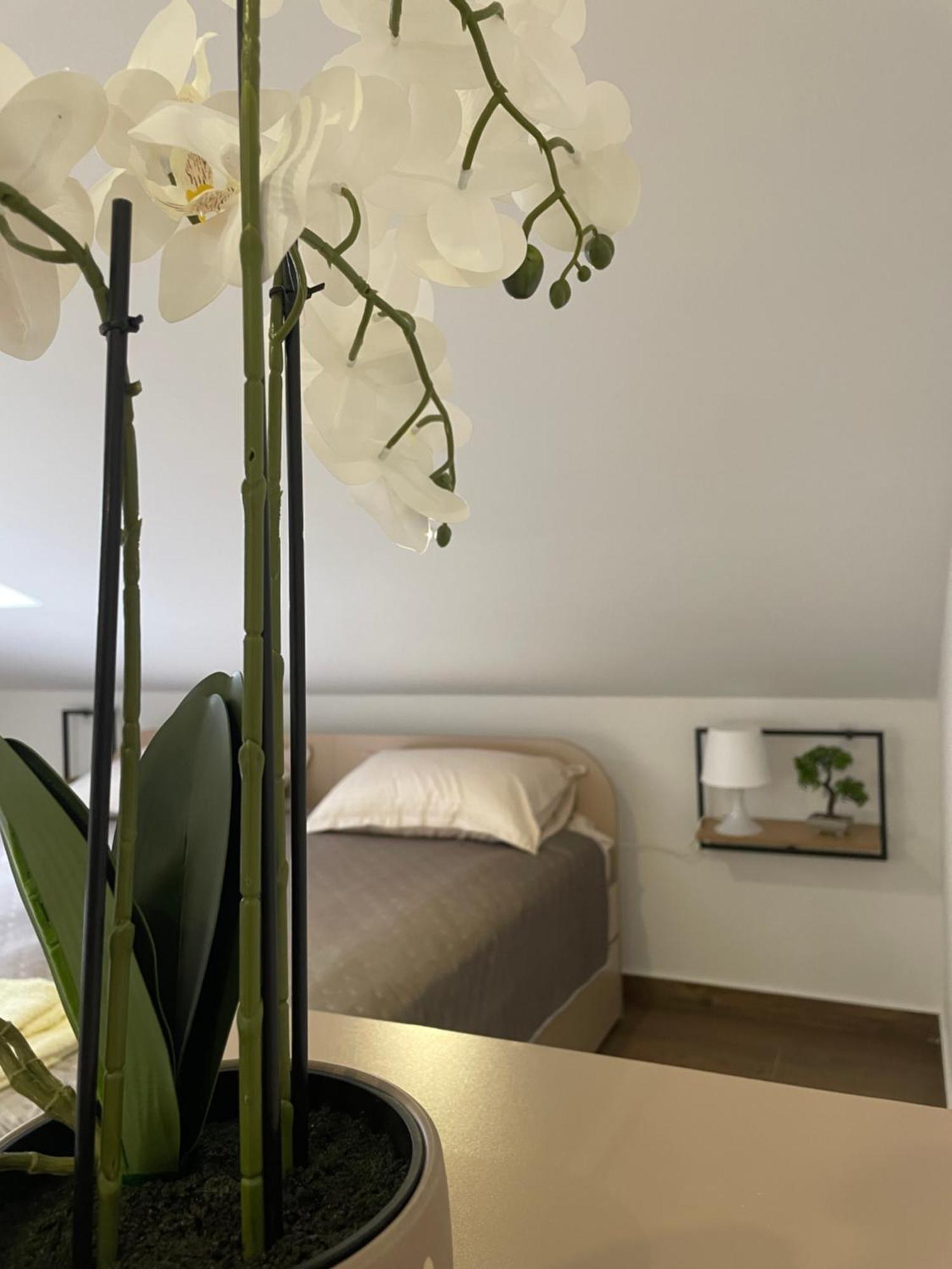 Apartment Joy 6 *
