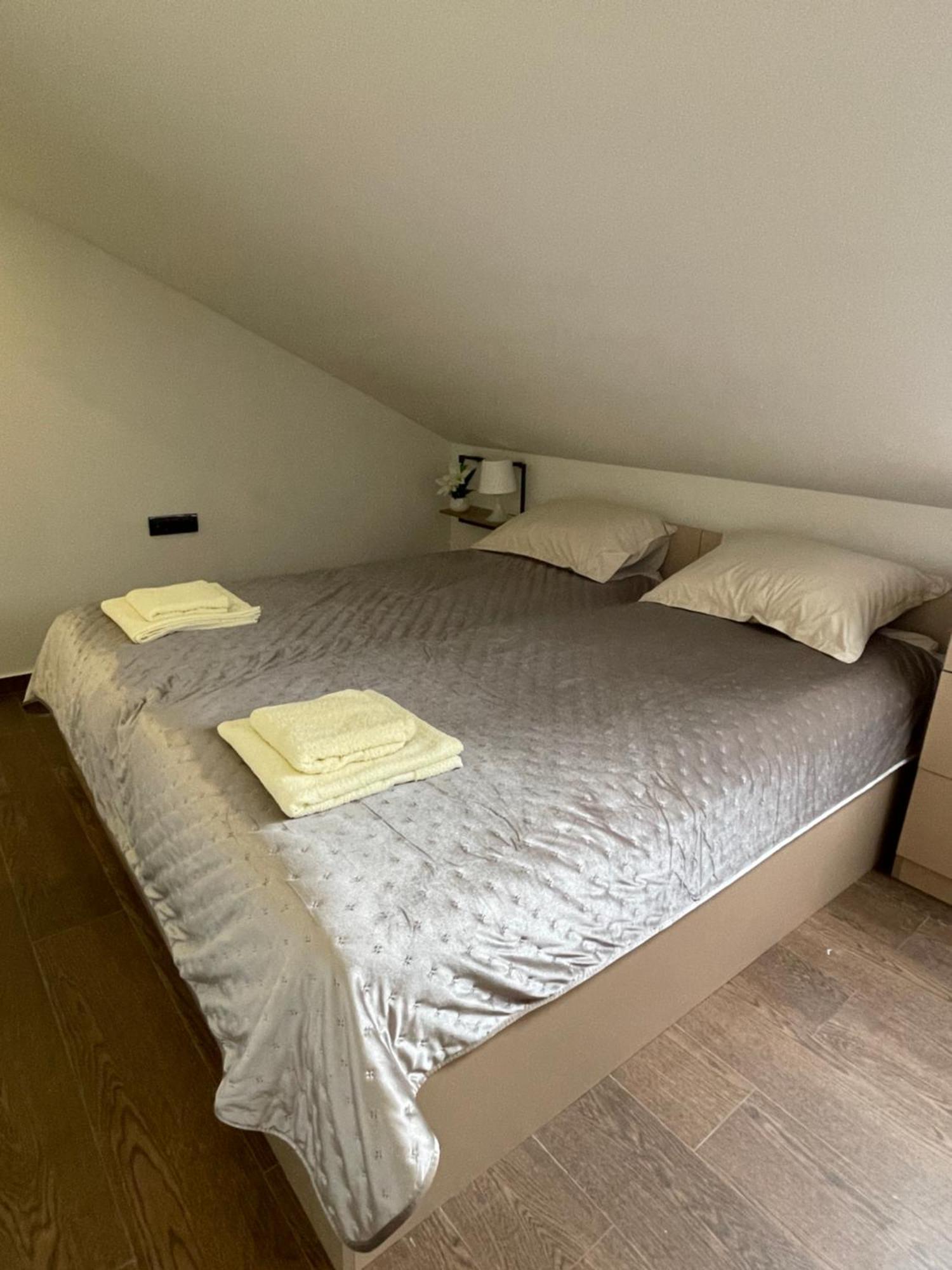 Joy 6 Apartment *