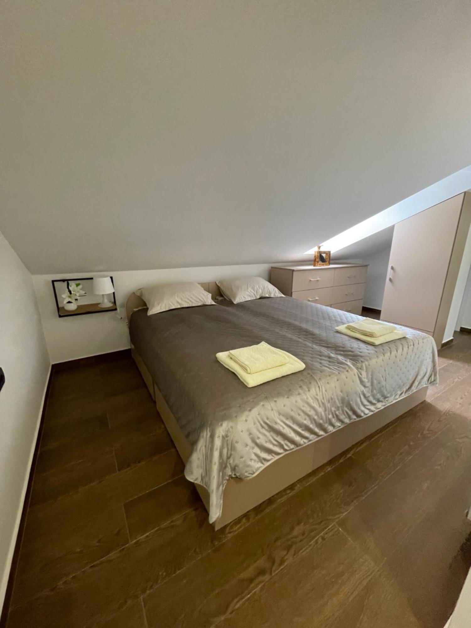 Joy 6 * Belgrade